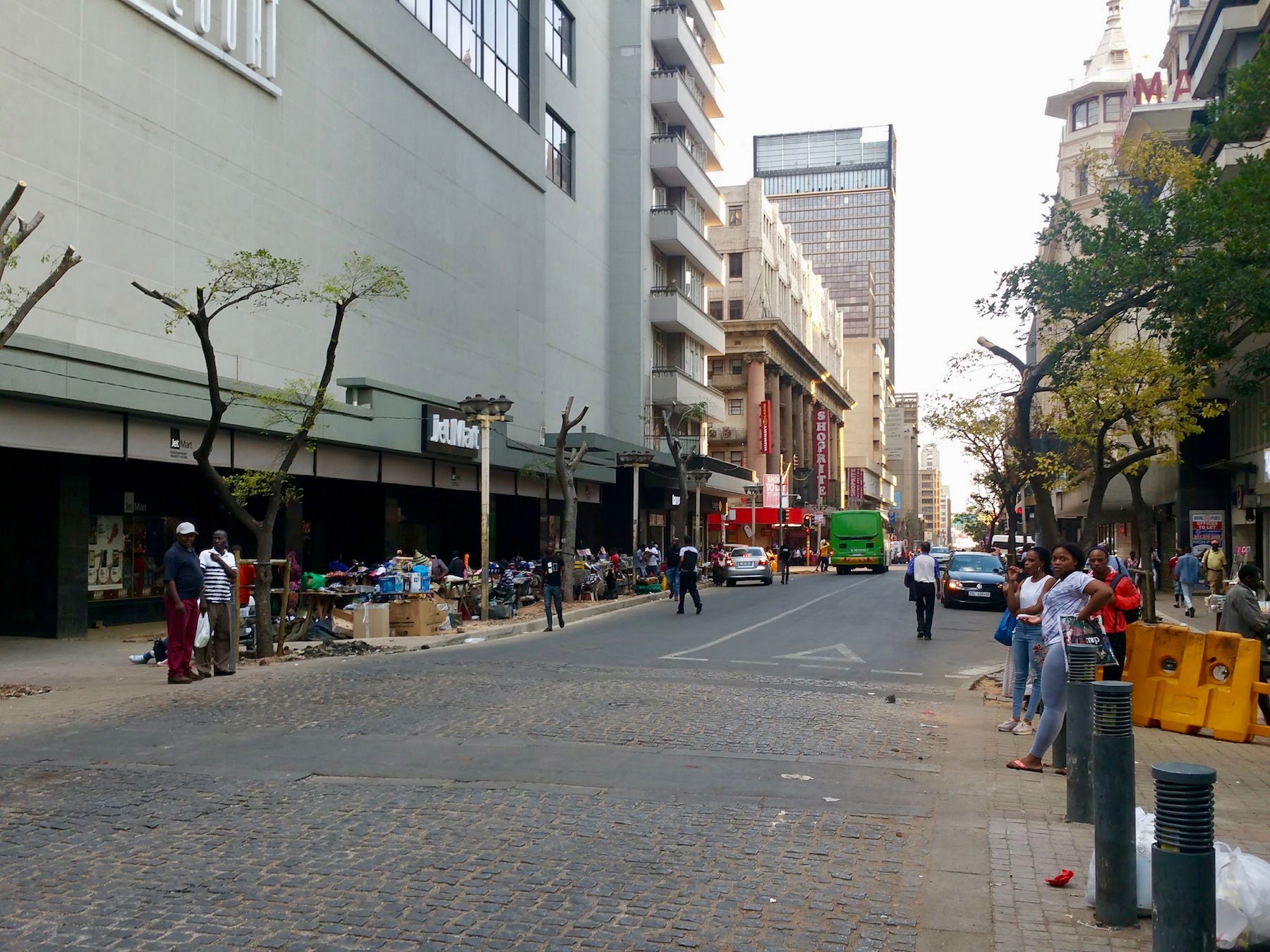 Eloff Street trees chopped Heritage Portal 2018 2.jpg The